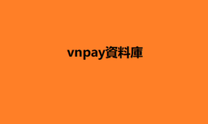 vnpay資料庫